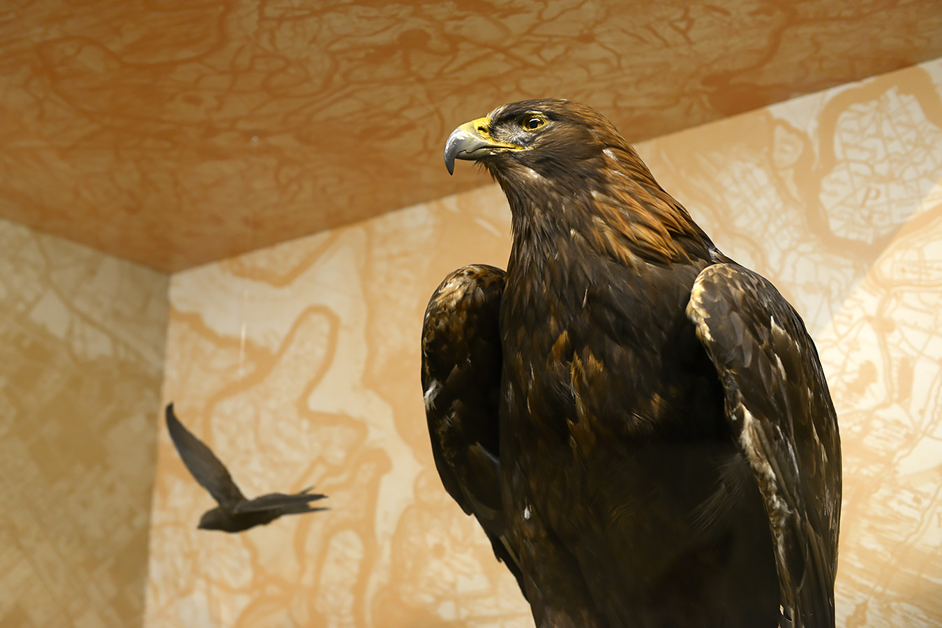 natuurmuseum brabant tilburg 1-2023 6107