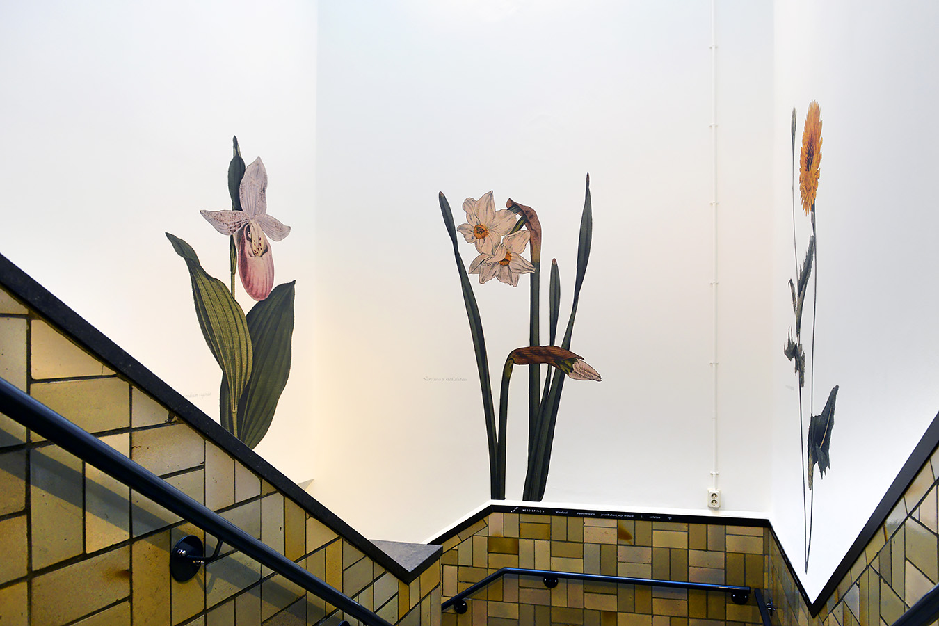 natuurmuseum brabant tilburg 1-2023 6117