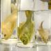natuurmuseum brabant tilburg 1-2023 6136