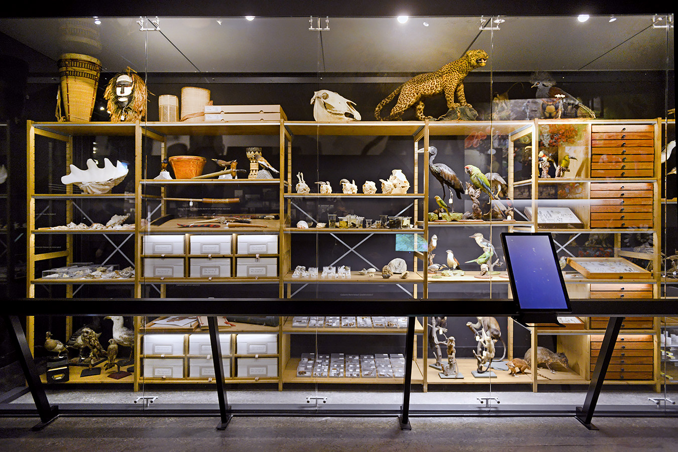 natuurmuseum brabant tilburg 1-2023 6172