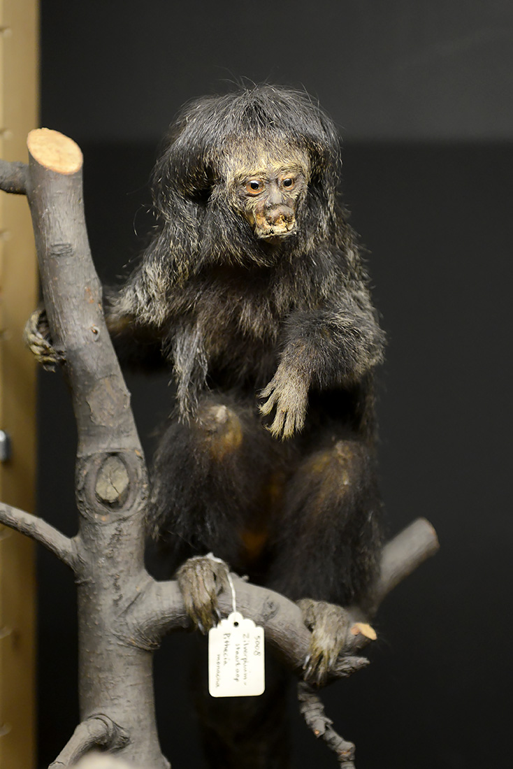 natuurmuseum brabant tilburg 1-2023 6173