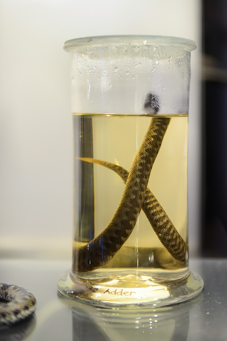 natuurmuseum brabant tilburg 1-2023 6191