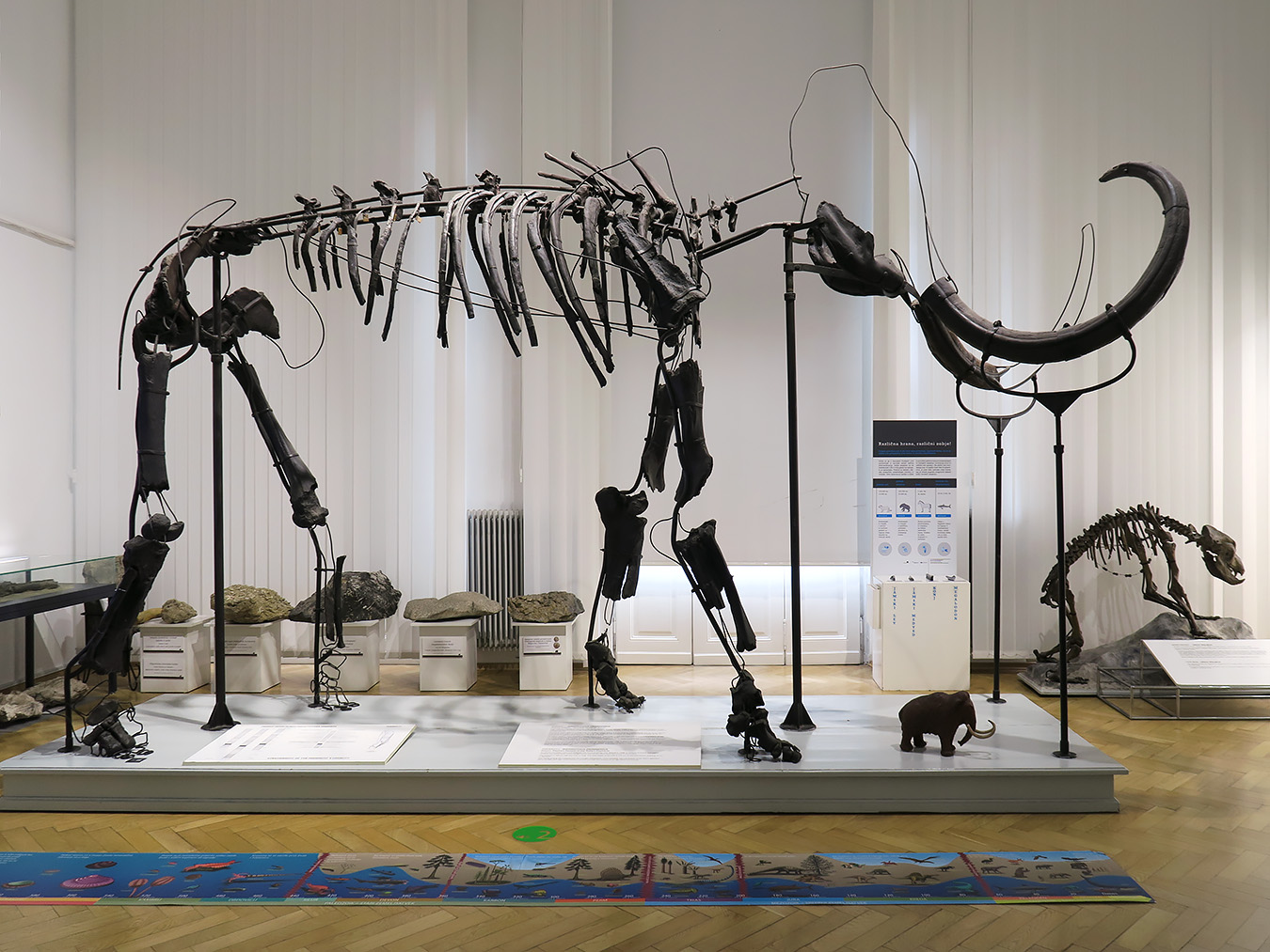 prirodoslovni muzej ljubljana 7-2023 9113