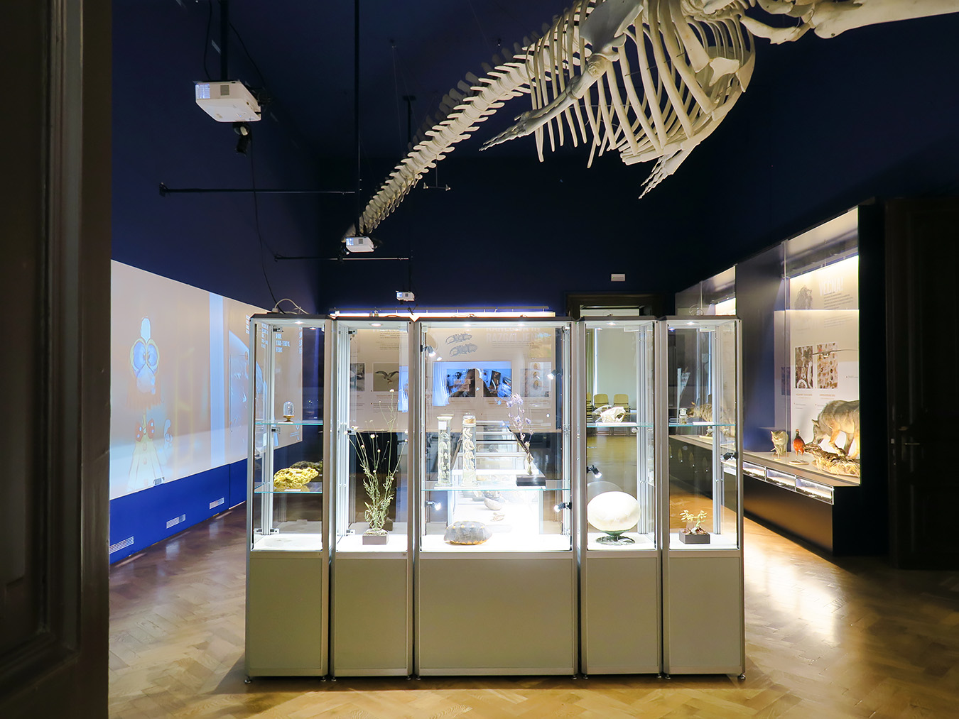 prirodoslovni muzej ljubljana 7-2023 9115