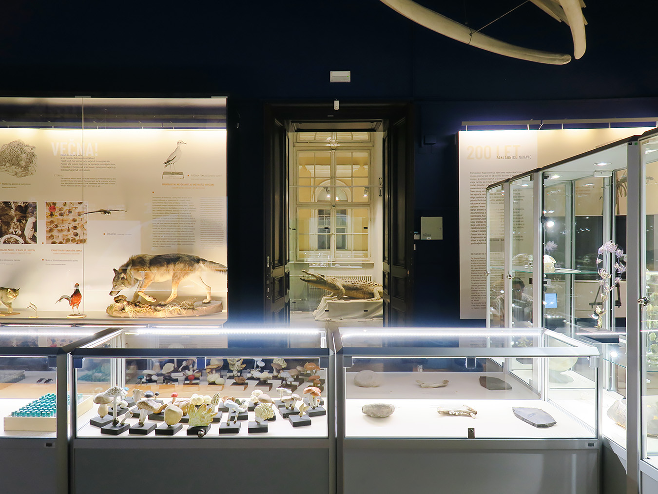 prirodoslovni muzej ljubljana 7-2023 9118