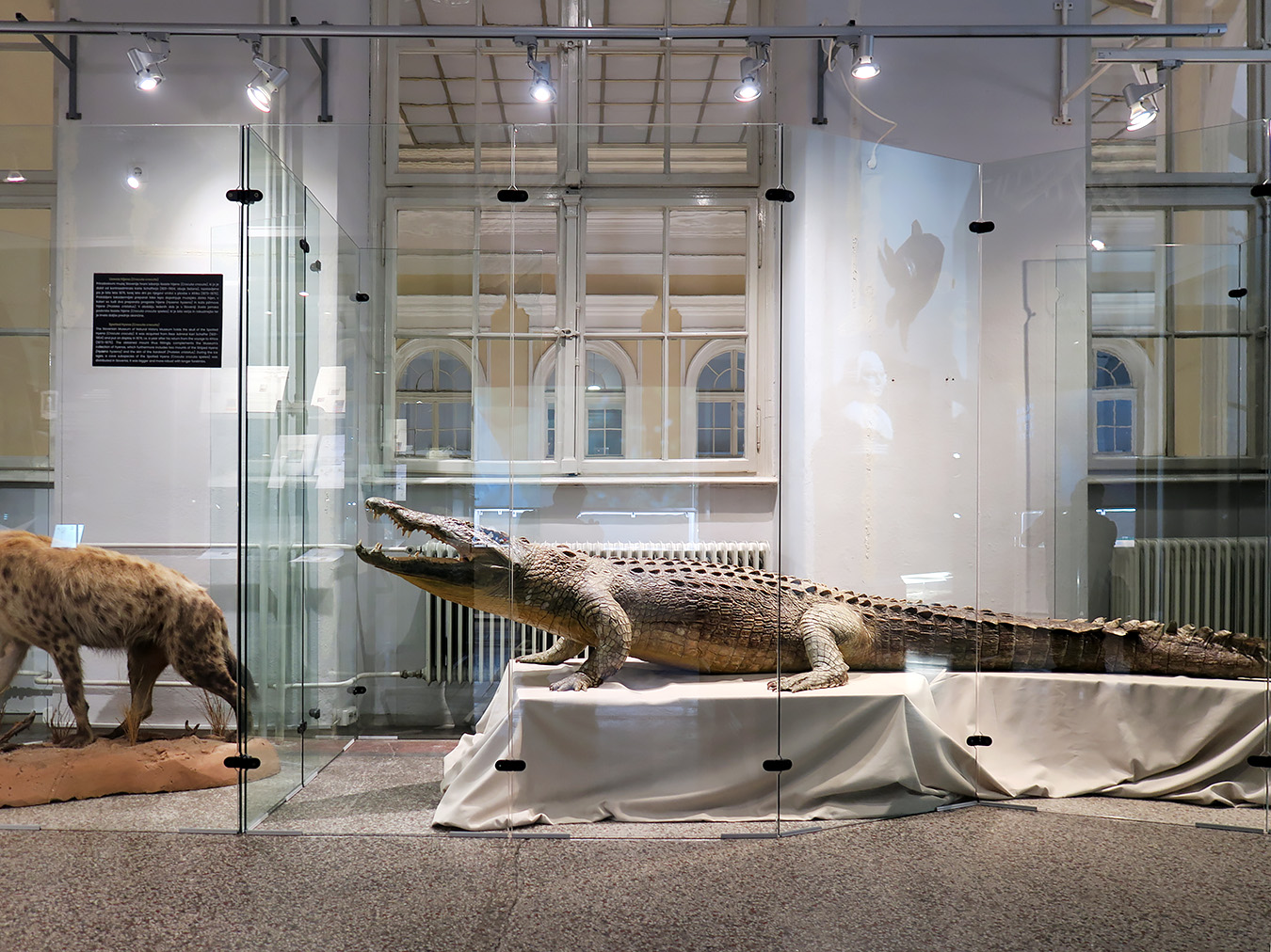 prirodoslovni muzej ljubljana 7-2023 9120