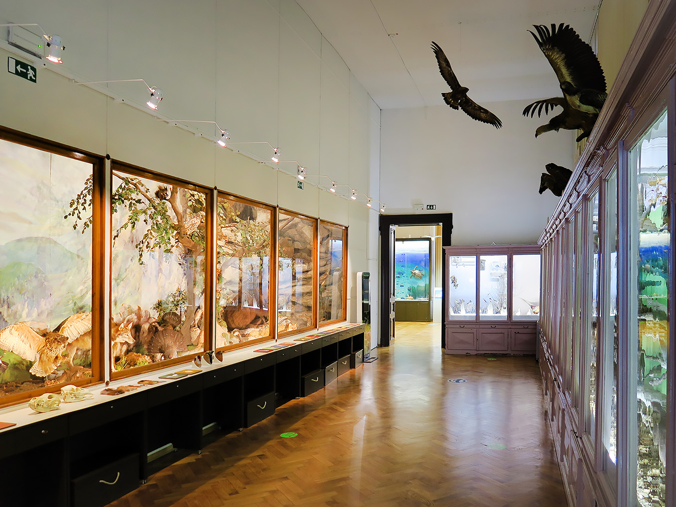 prirodoslovni muzej ljubljana 7-2023 9135