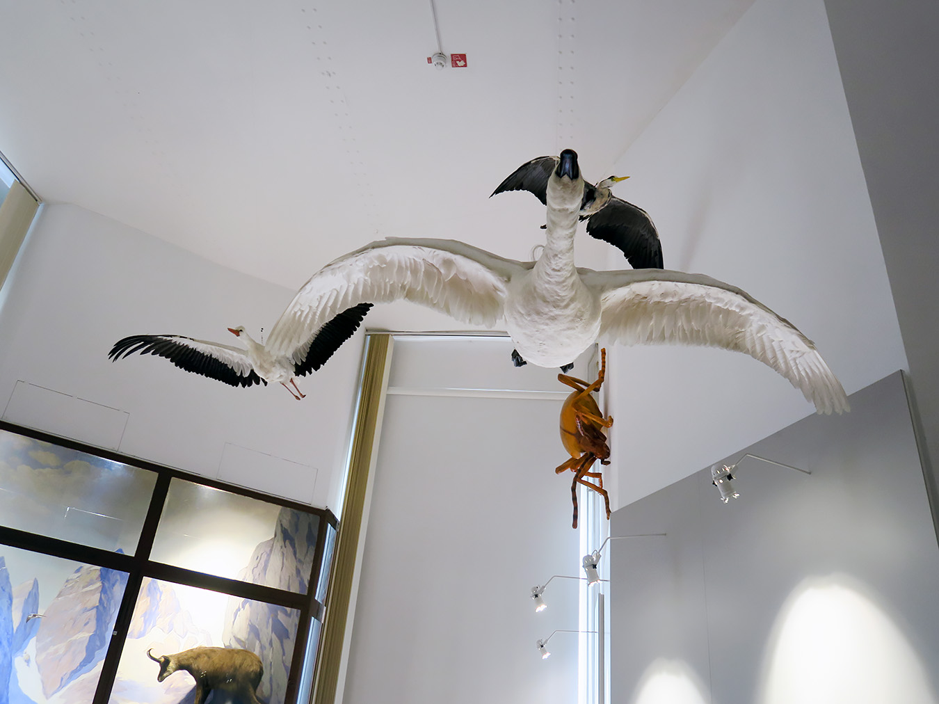 prirodoslovni muzej ljubljana 7-2023 9136