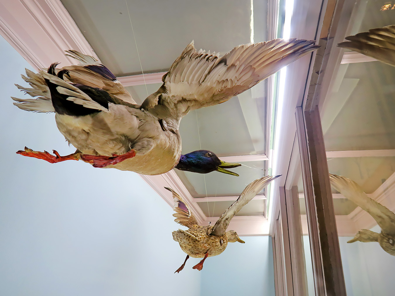 prirodoslovni muzej ljubljana 7-2023 9149