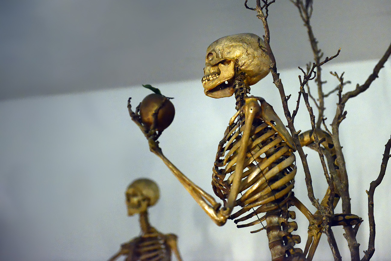 museum boerhaave 3-2022 1142