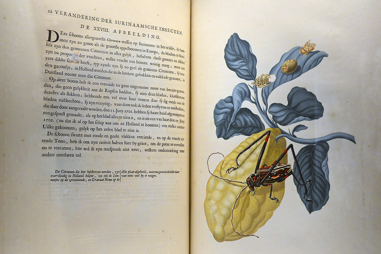 museum boerhaave 3-2022 1164