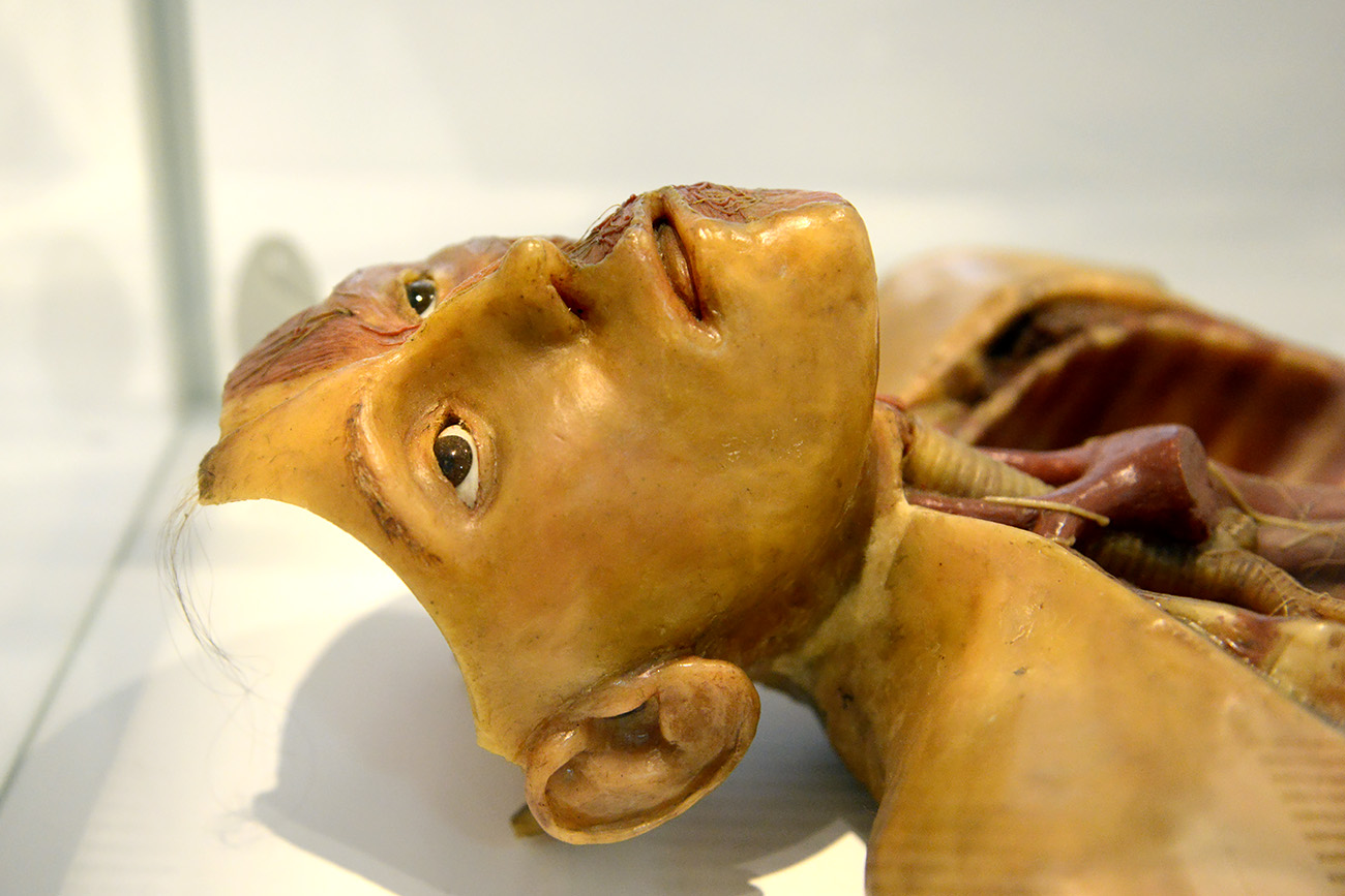 museum boerhaave 3-2022 1199