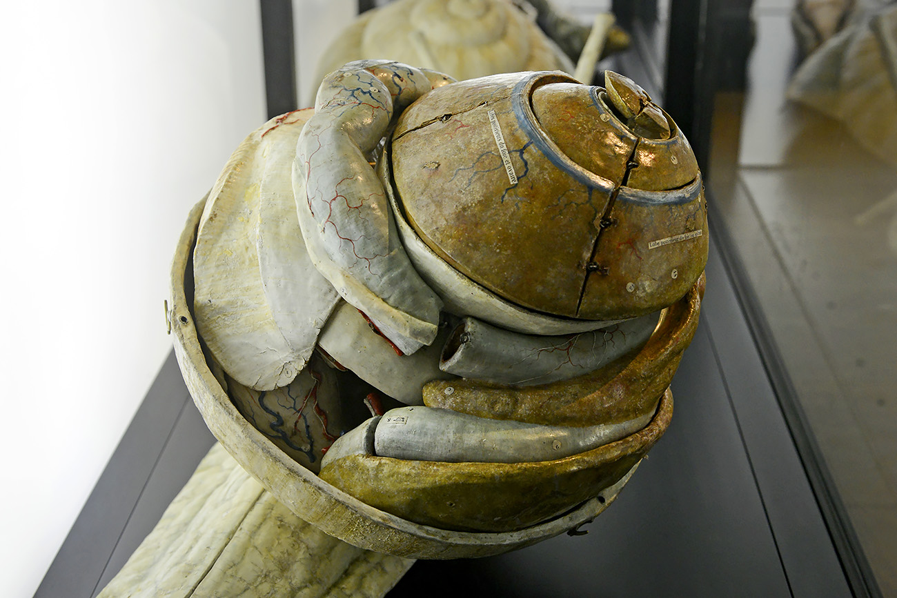 museum boerhaave 3-2022 1214