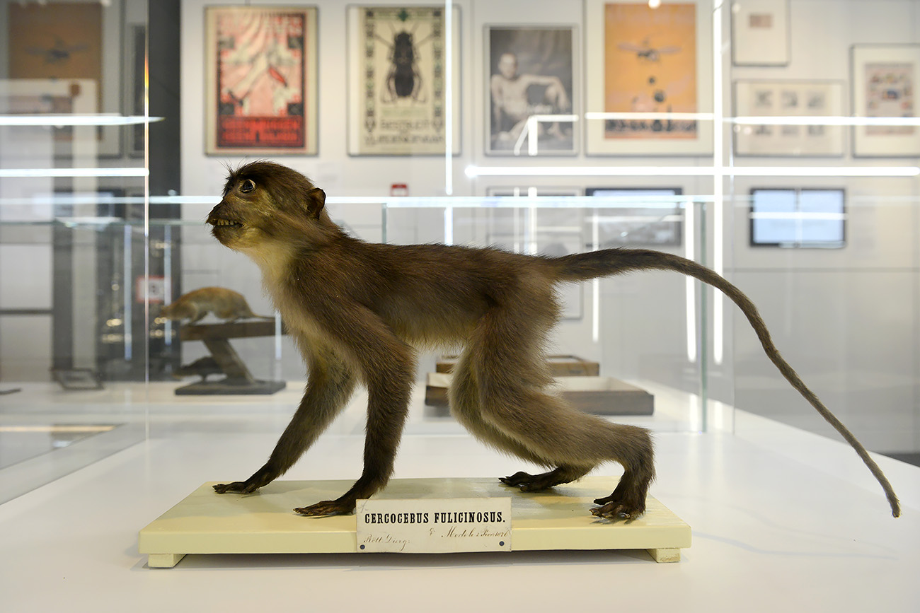 museum boerhaave 3-2022 1265