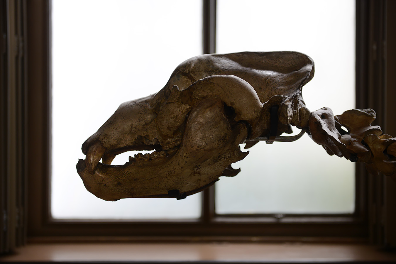 tylers museum 10-2023 9139