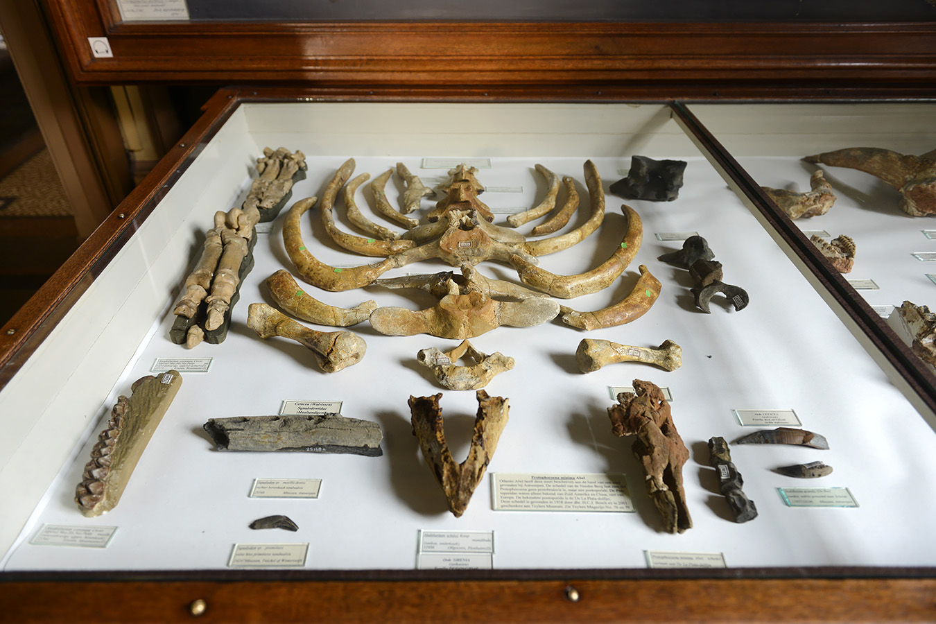 tylers museum 10-2023 9150