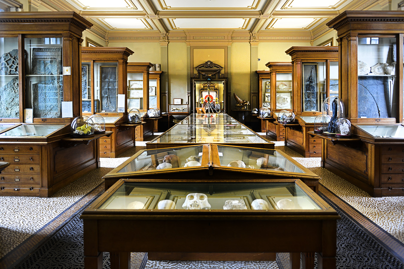 tylers museum 10-2023 9155