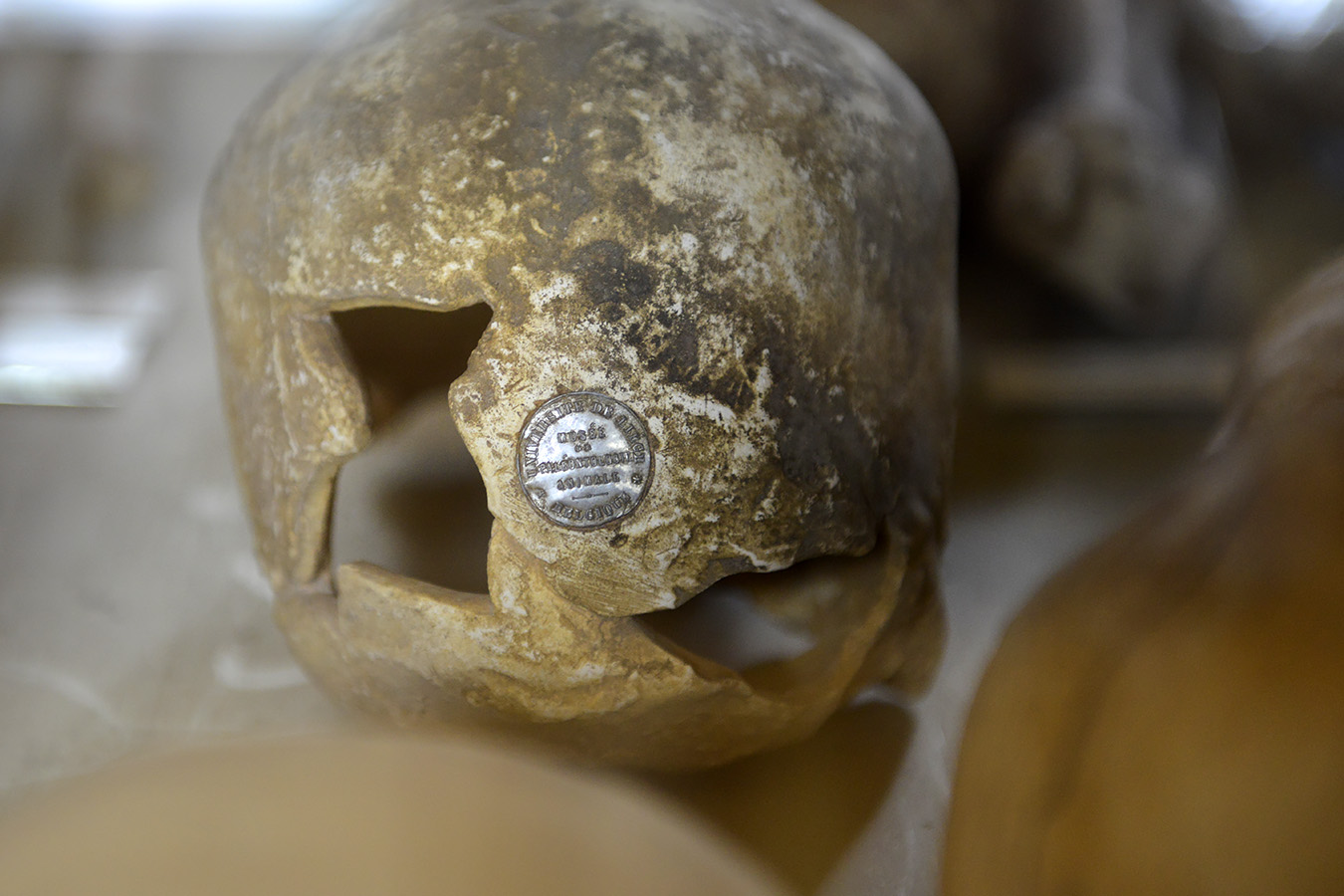 tylers museum 10-2023 9167