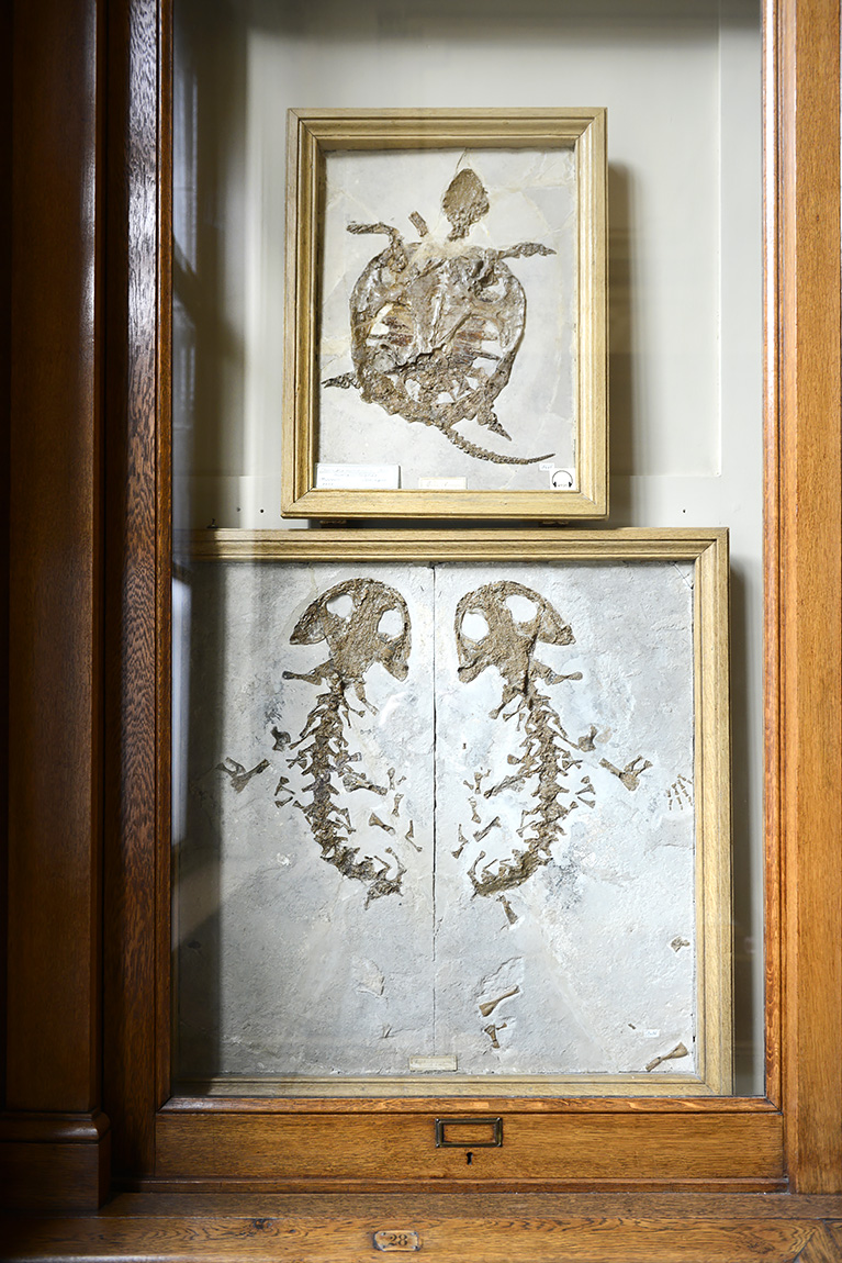 tylers museum 10-2023 9180