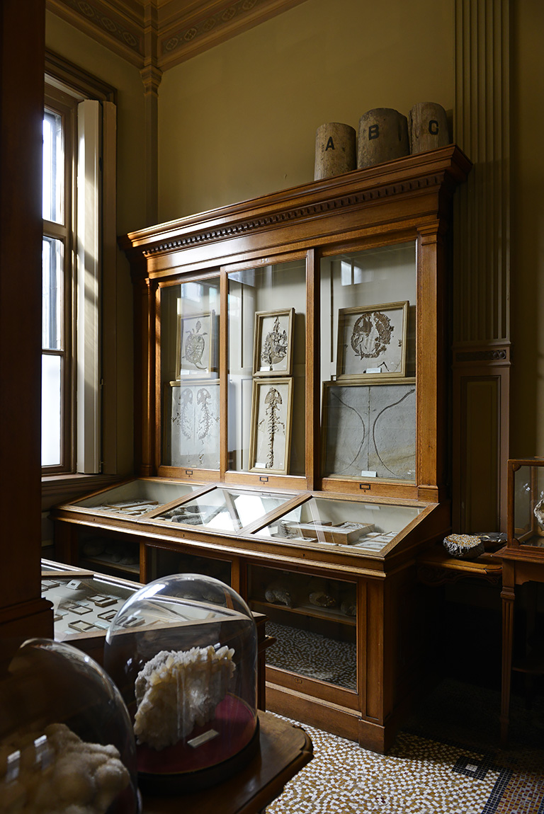 tylers museum 10-2023 9291