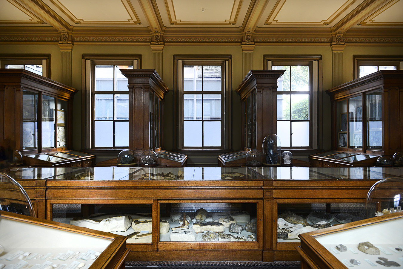 tylers museum 10-2023 9298