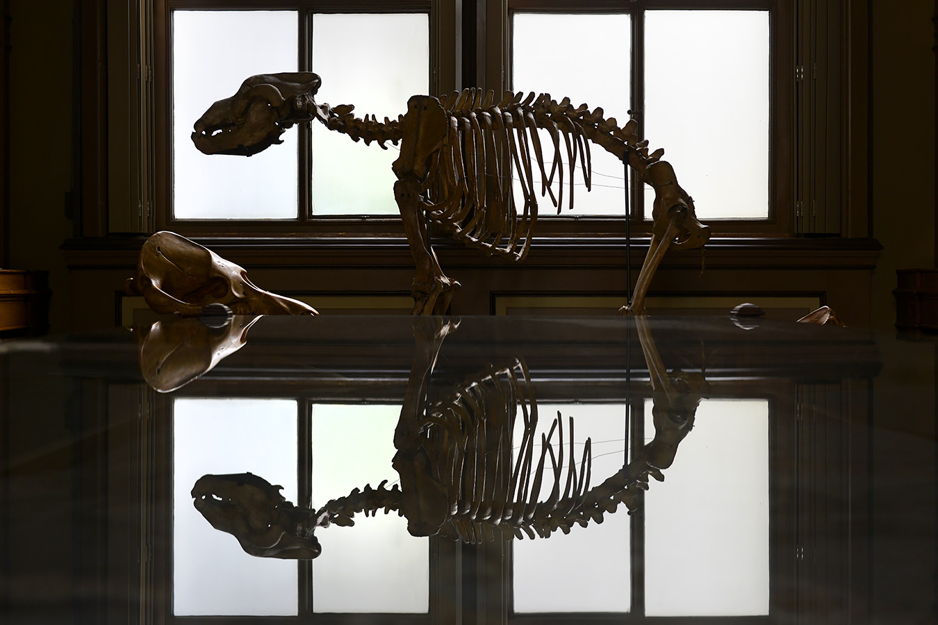 tylers museum 10-2023 9303