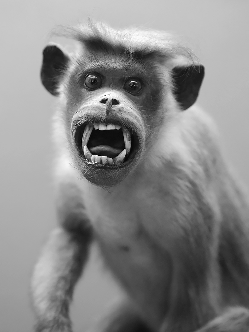 museum aquarium de nancy 8-20223 3881-