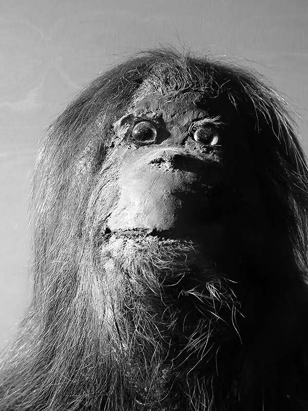 nhm oslo 7-2018 6494