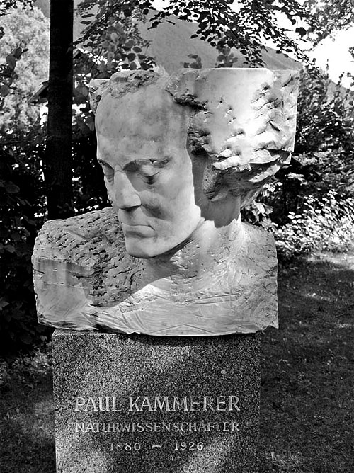 Der letzte Lamarckianer hotel schneebergerhof begin dodesweg