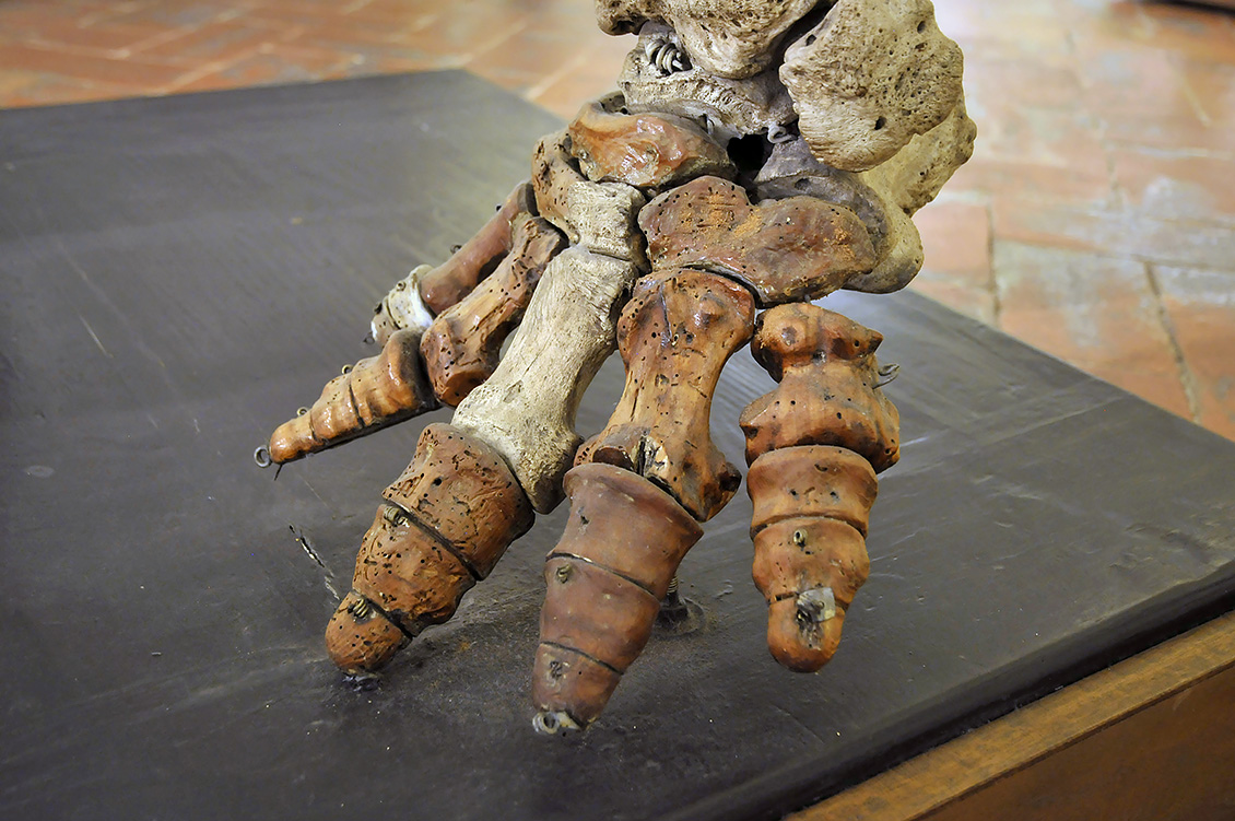 Hansken Specola 8-2017 1335