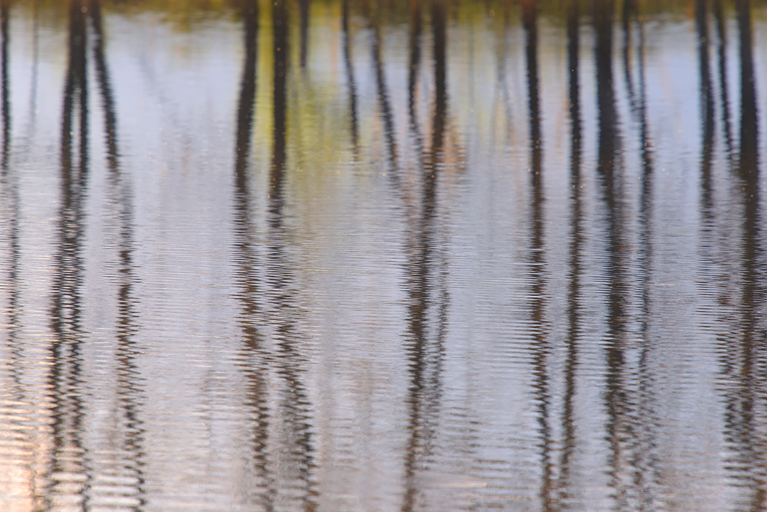 Leikeven 4-2017 8270