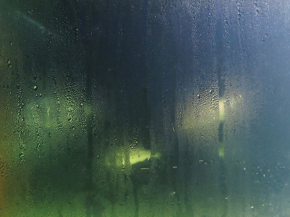 aquarium zoo 8-2014 3591