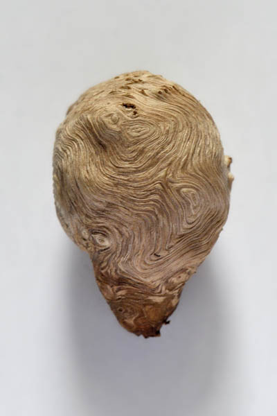 ontbaste bastknobbel