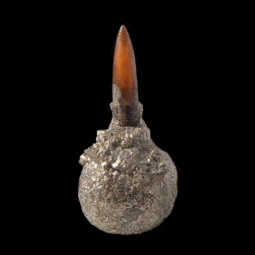 belemniet in pyriet 4-2016 8614