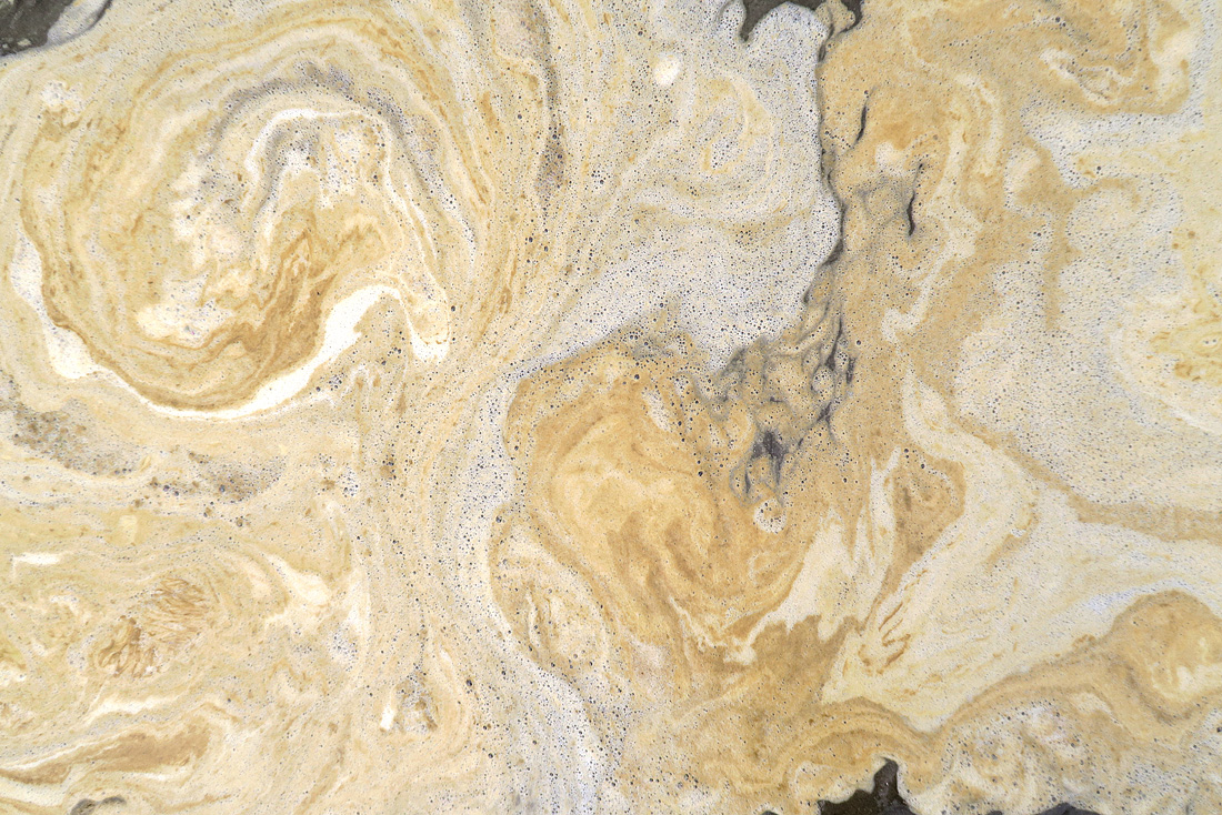 bruinalg (Phaeocystis puochetii) 6-2016 0357