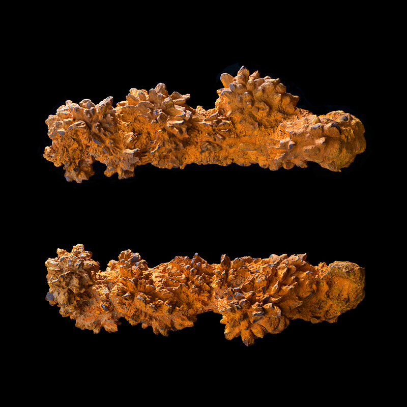 coproliet madagaskar 1-2015 1508-1509