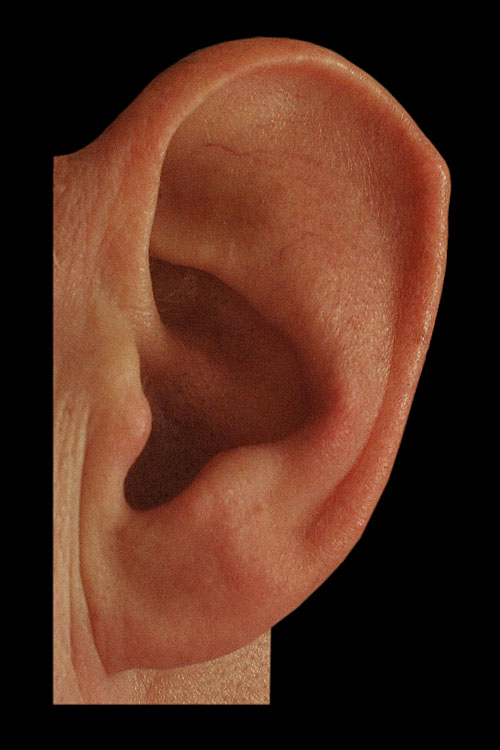 darwins tubercule 1-2013 1933