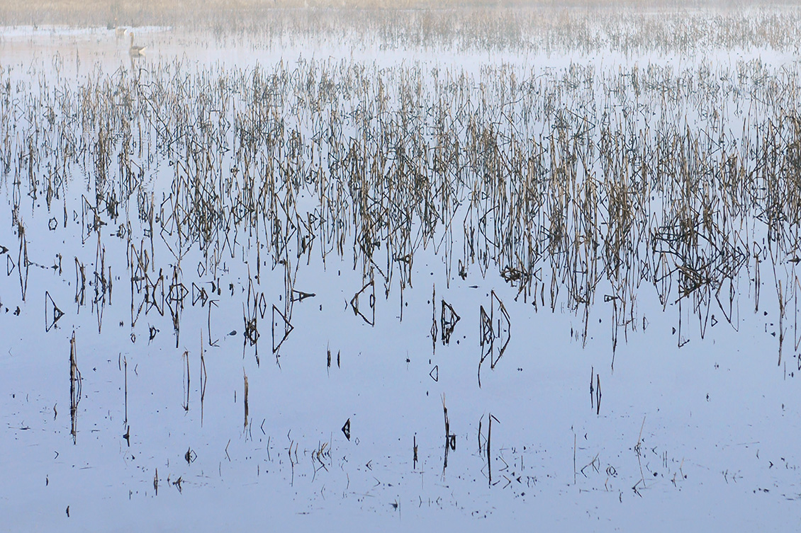 de groene jonker 3-2018 1631