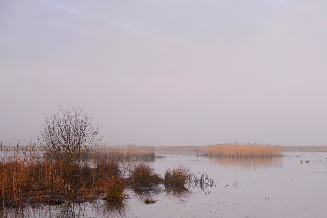 de groene jonker 3-2018 1802