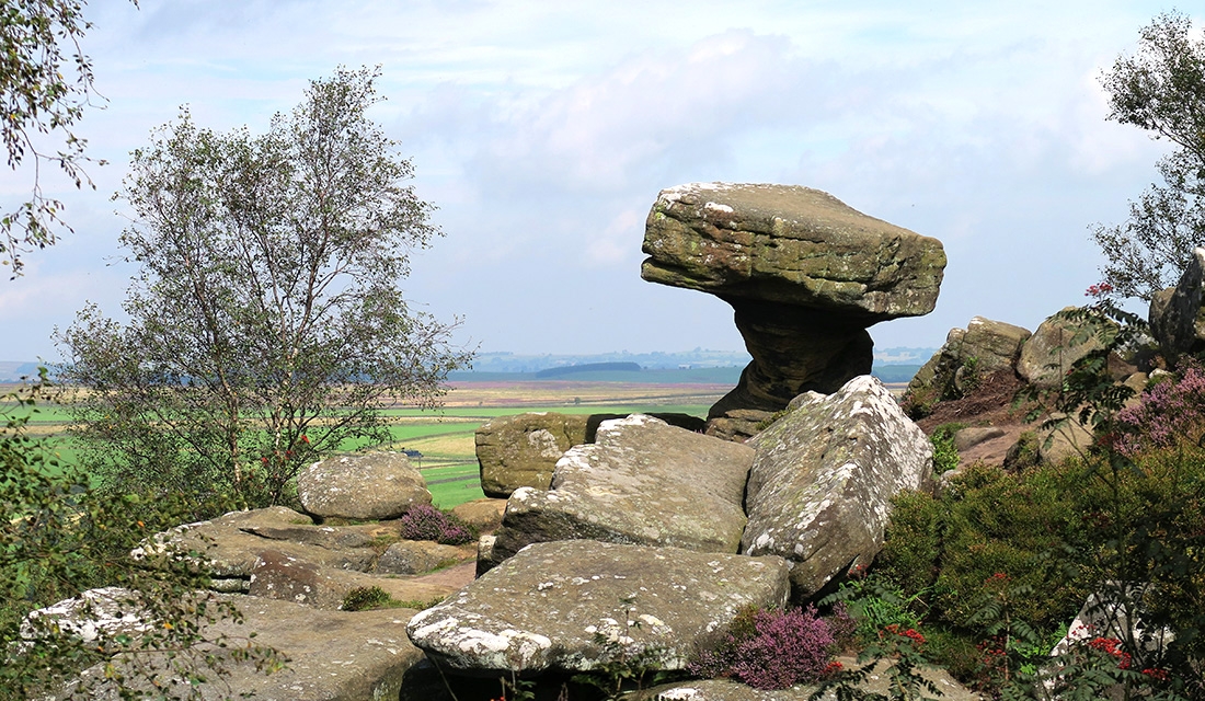 druids writingdesk 8-2016 3090