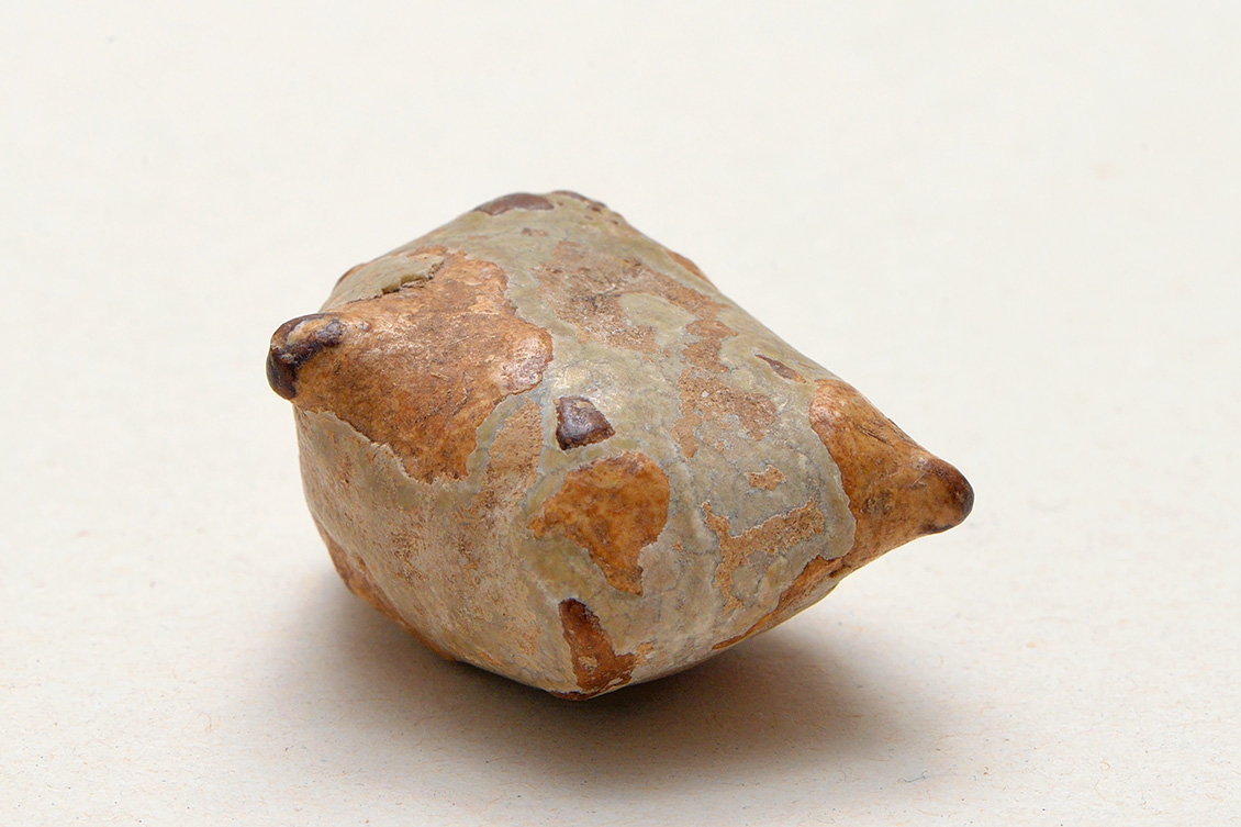 geiten bezoar 8-2017 6660