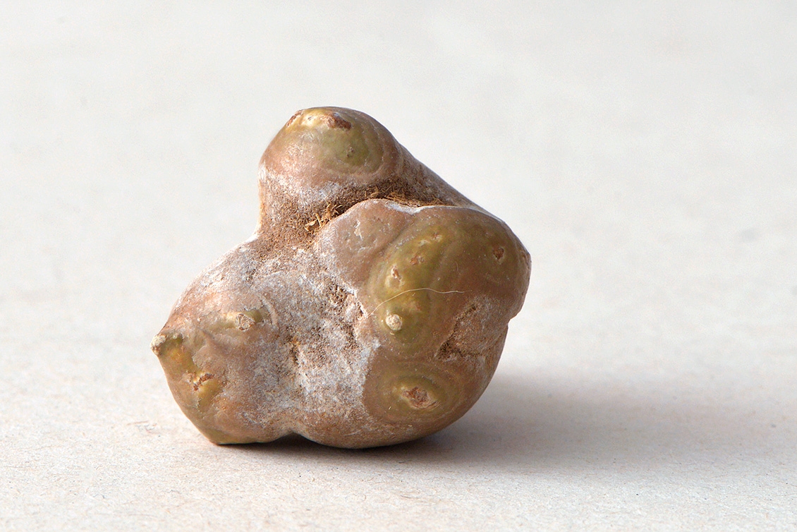 geiten bezoar 8-2017 6678