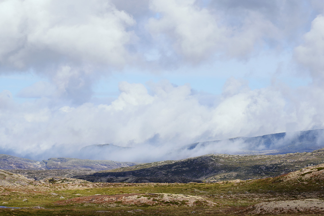 hardangervidda 7-2018 6282