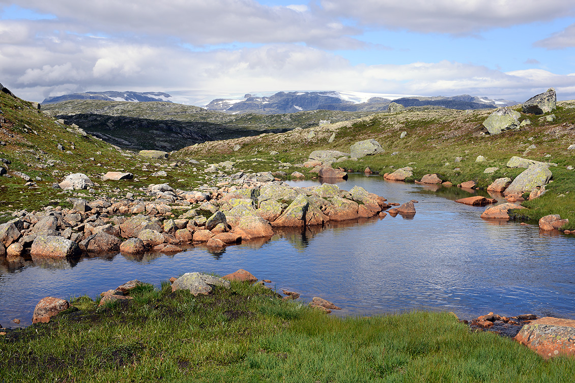 hardangervidda 7-2018 6386