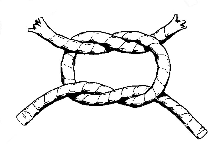 herculesknoop