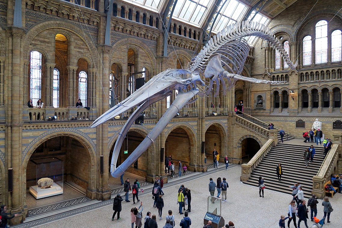 hope nhm 4-2018 5170