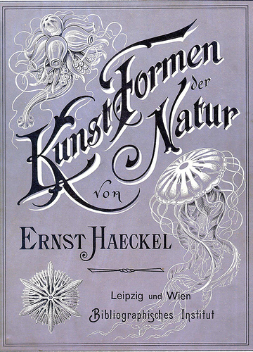 kunstformen der natur