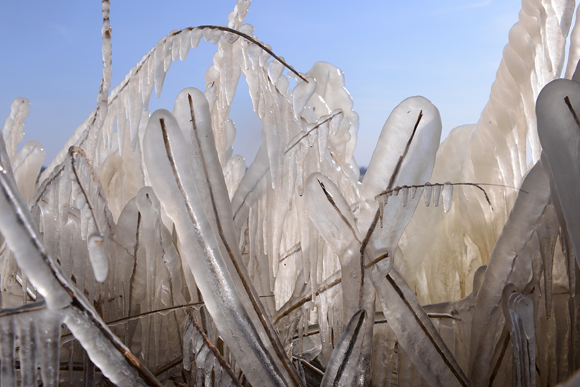 markerwaarddijk 3-2018 2980