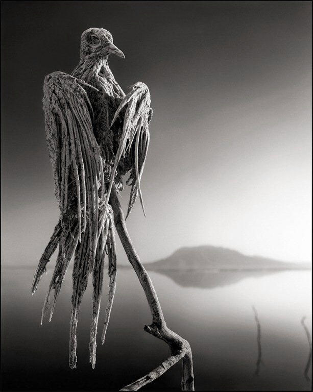 nick brandt
