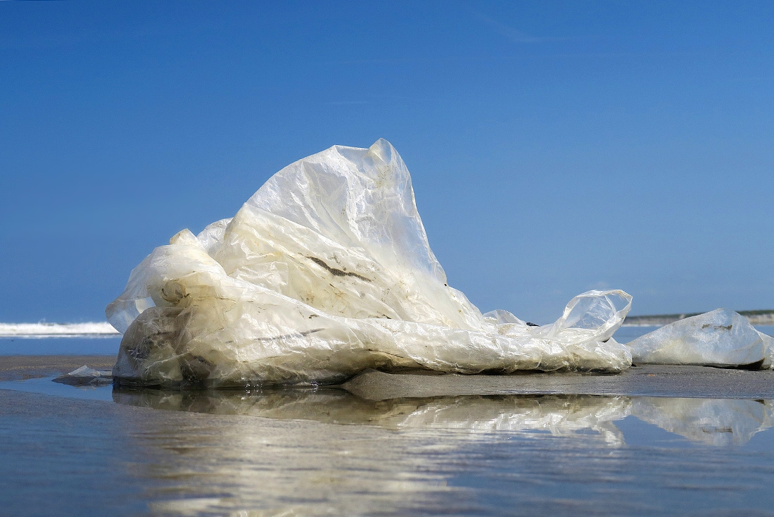 plastic aan zee 6-2016 0280